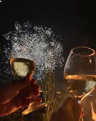 a person is holding a glass of wine at Alto Paraíso Glamping 