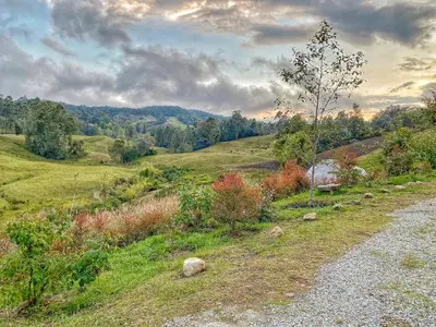 a gravel road in a grassy field with a tree at Bohemia Glamping in La Unión