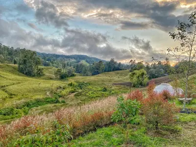 a view of a field with grass and trees at Bohemia Glamping in La Unión