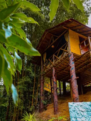 a tree house in the middle of a forest at Glamping Río Claro in Doradal