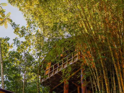 a tree house in the middle of the trees at Glamping Río Claro in Doradal