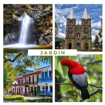 a collage of photos of a city with a bird sitting on a branch at Jardín de la Inmaculada - a 8min del parque in Jardin