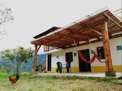 a chicken walking in front of a house at Jardín de la Inmaculada - a 8min del parque in Jardin