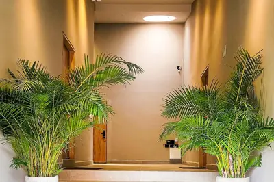 two large plants in a hallway with a hallway at Las Lomas Luxury House in Medellín