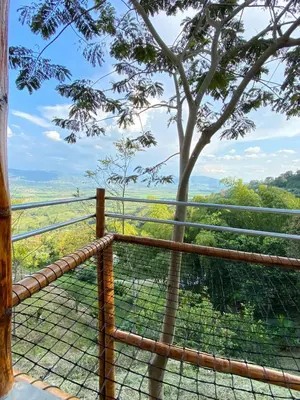 a view of a tree from a cage at Viyamar Glamping: Discover Tranquility in Style in Viterbo