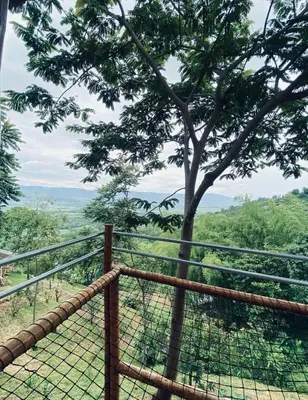 a fence with a tree in the background at Viyamar Glamping: Discover Tranquility in Style in Viterbo