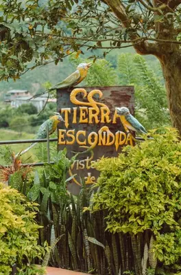 two birds sitting on a sign in front of a sign at Cabaña entre las montañas Tierra Mia - Eje Cafetero in Manizales