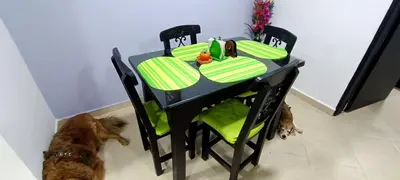 a black table with two chairs and two dogs at Hermosa casa en el mejor lugar! in Sabaneta