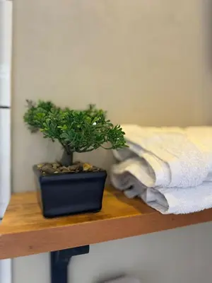 a potted plant sitting on a wooden shelf at Apartamento cerca a clínica las Américas - ONE204 By Roots Rentals in Medellín