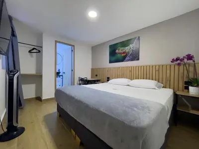 a bedroom with a large bed and a television at Vita Hotel Boutique - Aire Acondicionado & Desayuno in Medellín
