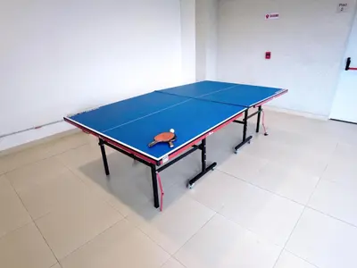 a ping pong table with a toy turtle on it at Hotel Las Olas Bello in Machado