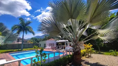 a palm tree in front of a swimming pool at Finca Turística Peñoles - Cerca de Charcos y Cascadas - Finca Rústica en San Carlos, Antioquia in San Carlos