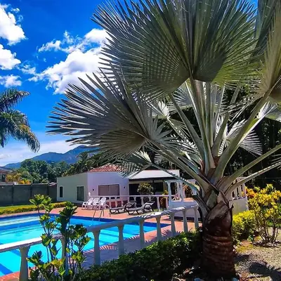 Finca Turística Peñoles - Cerca de Charcos y Cascadas - Finca Rústica en San Carlos
