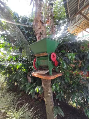 a bird feeder is attached to a tree at El Turpial in Jericó