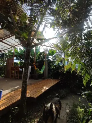 a dog is standing next to a wooden deck at El Turpial in Jericó