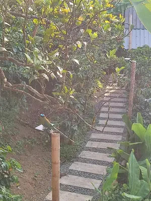 a bird sitting on a pole next to a walkway at El Turpial in Jericó