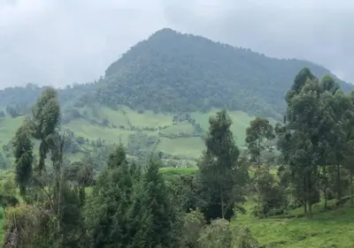 a green hillside with trees and a mountain at Hotel Cabañas y Chalets lujosos Mágica Luna Manizales in Villamaría