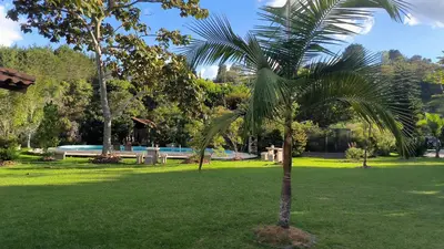 a palm tree in the middle of a park at CASA HOTEL FIBA MAGUEZA in Guarne