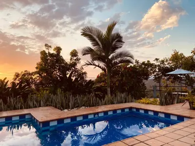 a swimming pool in a backyard with a palm tree at APARTAMENTO CAMPESTRE EN EJE CAFETERO in Manizales