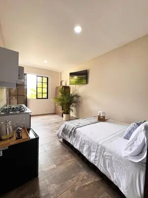 a bedroom with a bed and a stove in it at 1714 Hotel Boutique Guatapé in Guatapé