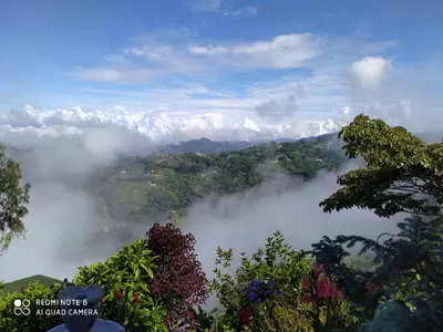a view of a misty valley in the mountains at Mirador Finca Morrogacho in Manizales