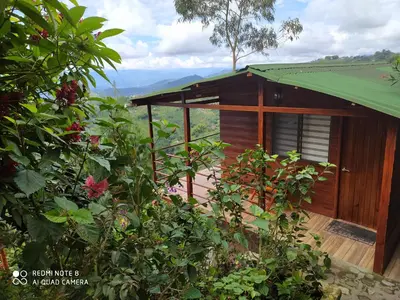 a wooden cabin with a green roof and some plants at Mirador Finca Morrogacho in Manizales