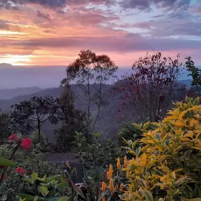 Mirador Finca Morrogacho