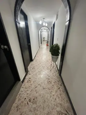 a hallway of a building with a potted plant at Hotel De León Estadio in Medellín