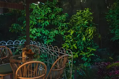 a group of chairs and a table in a garden at Dos habitaciones, amplio, estrategicamente ubicado in El Poblado