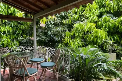a patio with chairs and a table and plants at Dos habitaciones, amplio, estrategicamente ubicado in El Poblado