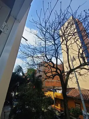 a tree with no leaves in front of a building at Estudio Duplex Vintage en el Centro para 4H Atelier in Medellín