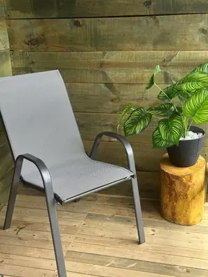 a chair sitting next to a potted plant at Sukha Glamping in Rionegro