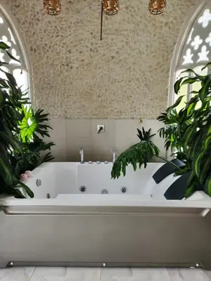 a bath tub in a bathroom with two plants at Hotel Mansion Sant Serrant Medellín- Aeropuerto Rionegro in Marinilla