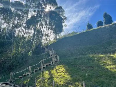 a winding path on a hill with trees on it at Entre-pinos Glamping WiFi Vista 360º in Guarne