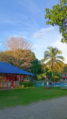 a building with a palm tree and a playground at Hotel flamingo real T in Mariquita