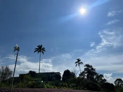 two palm trees and a building with the sun in the sky at Tierra Mágica eje cafetero in Manizales