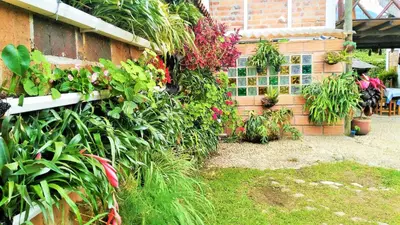 a garden with flowers and plants on a building at Hotel Kantarrana Urbana Jardin in Jardin