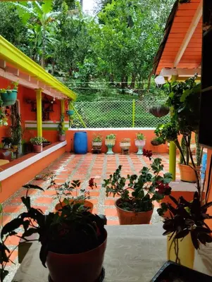 a patio with a bunch of potted plants at Casa Mamá Chelita in Titiribí