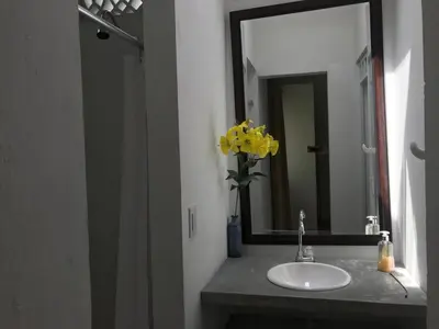 a bathroom sink with a mirror and a vase with yellow flowers at CASAQUINTA PRIVADA MARIQUITA-TOLIMA in Mariquita