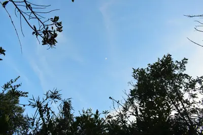 a blue sky with trees in the foreground at Chalet Tanat in Santa Elena