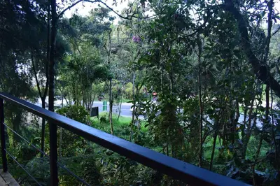 a balcony with a view of a park with trees at Chalet Tanat in Santa Elena