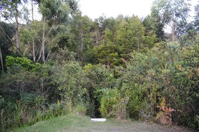 a forest of trees with a white object in the middle at Chalet Tanat in Santa Elena
