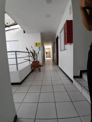 a hallway of a building with a plant in the middle at Hotel Palermo Real in Medellín