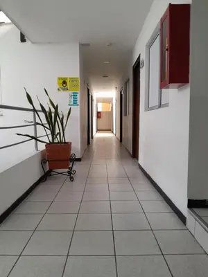 a hallway of an office building with a plant in the middle at Hotel Palermo Real in Medellín