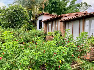 a house with a bunch of plants in front of it at Aldea Sabatinga in Manizales