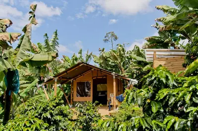 a small house in the middle of a forest at Glamping Jardín in Jardin
