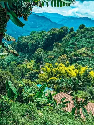 a view of a hillside with trees and a mountain at Glamping Jardín in Jardin