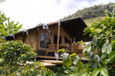 a wooden house with a porch in a forest at Glamping Jardín in Jardin
