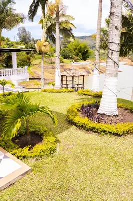 a view of a yard with palm trees at Hotel Casa Linda Guatape in Guatapé