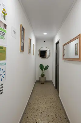 a hallway with a potted plant and a mirror at Apto 201 Sweet Home Medellín in Medellín